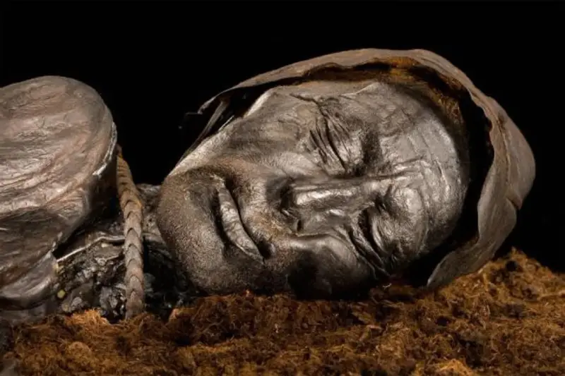 Visage d'une momie des tourbières, le corps préservé dans la tourbe, les traits du visage marqués par le temps.